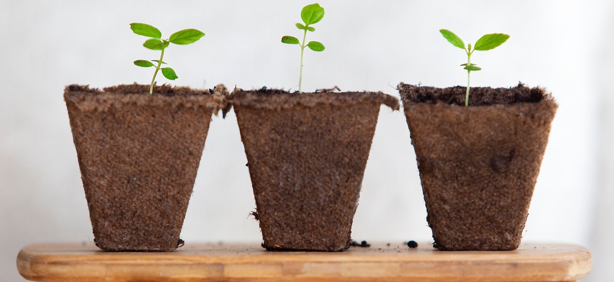 Mastering three strategies of organic growth